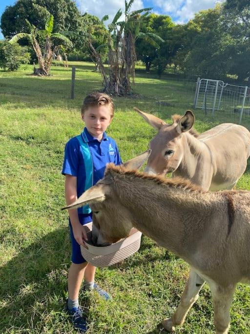 Pinbarren Green Lodges Noosa Zewnętrze zdjęcie