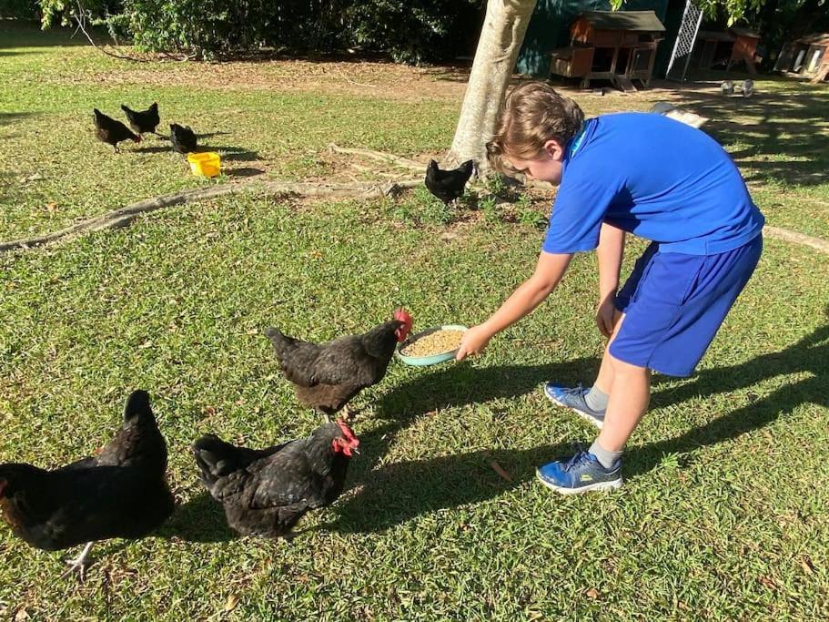 Pinbarren Green Lodges Noosa Zewnętrze zdjęcie