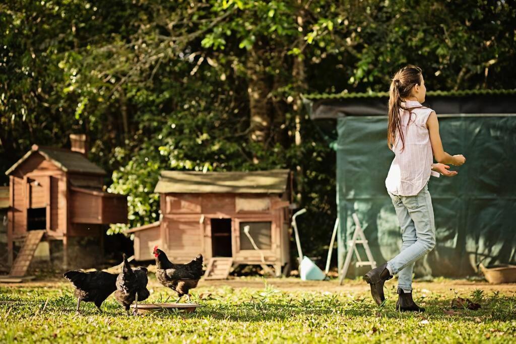 Pinbarren Green Lodges Noosa Zewnętrze zdjęcie
