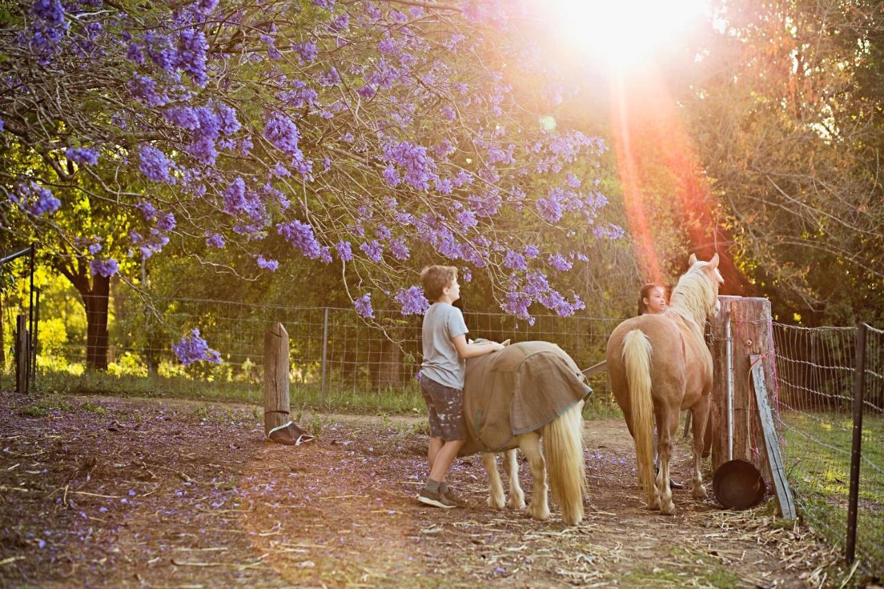 Pinbarren Green Lodges Noosa Zewnętrze zdjęcie